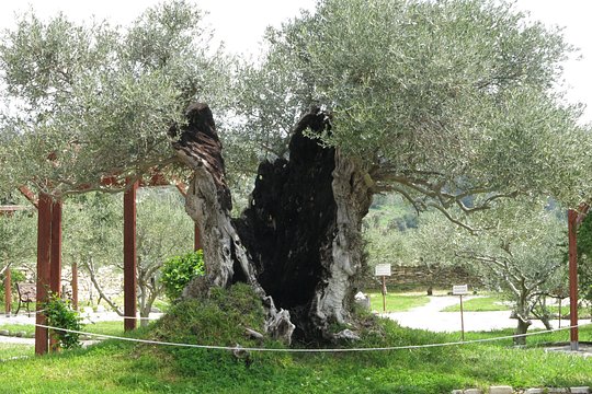 Tour image 13